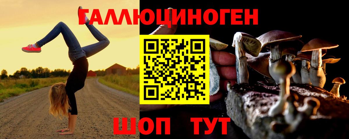 Псилоцибиновые грибы GOLDEN TEACHER  Вход с VPN  Балтийск 